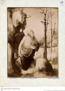 Beccafumi - Girolamo penitente, inventario n. 166 da Domenico Beccafumi