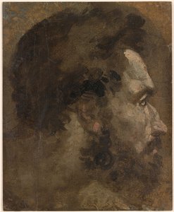 Beccafumi - Testa di uomo barbuto di profilo a destra, 1530-1535 ca. da Domenico Beccafumi