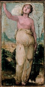 Figura femminile da Domenico Beccafumi