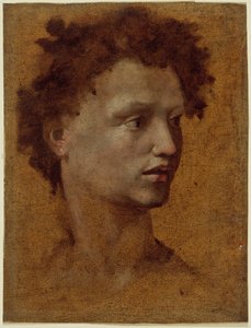 Capo di un gruppo di giovani