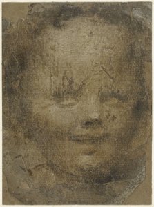 Testa di bambino da Domenico Beccafumi