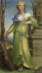 Tanaquil da Domenico Beccafumi