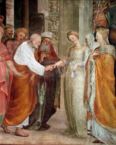 Le nozze della Vergine (dettaglio) da Domenico Beccafumi