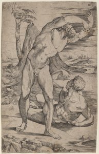 Due nudi maschili che gesticolano in un paesaggio da Domenico Beccafumi