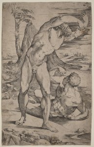 Due nudi maschili che gesticolano in un paesaggio da Domenico Beccafumi