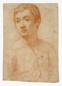 Testa di un Giovane, c.1600-25 da Domenico Cresti