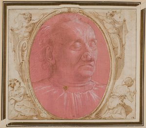 Testa di un vecchio da Domenico Ghirlandaio