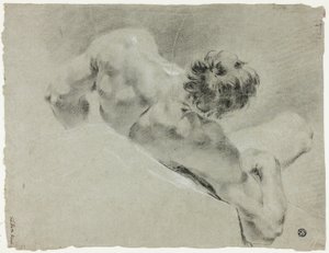 Nudo maschile visto di spalle da Domenico Maggiotto