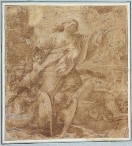 Assunzione della Vergine da Domenico Maria Canuti