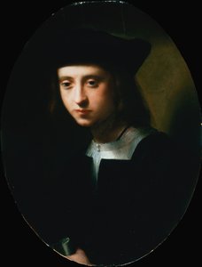 Ritratto di un giovane da Domenico Puligo
