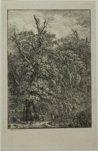 Grande albero da Domenico Quaglio