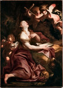 Santa Maria Maddalena, dipinto di Domenico Piola, Genova, Musei di Strada Nuova da Domenico the Elder Piola