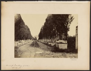 [Antico cimitero di Arles, "Alyscamps"]. da Dominique Roman