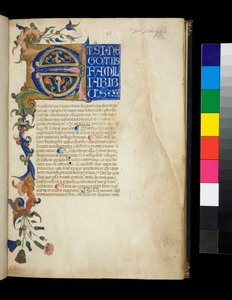 Ms 373. Pseudo-Cicerone, Rhetorica ad Herennium, e altre opere, f.1r. Iniziale illuminata [E] e bordo parziale con decorazione a foglia di acanto e fiori, la prima riga di testo in maiuscole bianche su sfondo blu