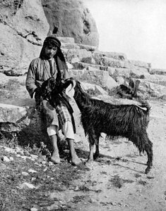 Ragazzo arabo e capra, Medio Oriente, 1936