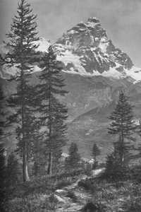 Il Cervino dal lato italiano, Foresta di Brueil, 1917 da Donald McLeish