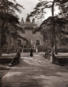 Il Tempio Biyun