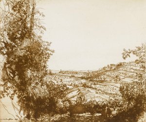 Oliveti da Donald Shaw MacLaughlan