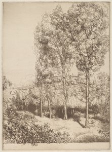 Luce del sole e ombre, n. 3