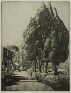 Il Bosco di Cipressi
