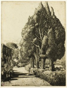 Il boschetto di cipressi