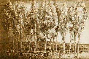 La danza della primavera da Donald Shaw MacLaughlan