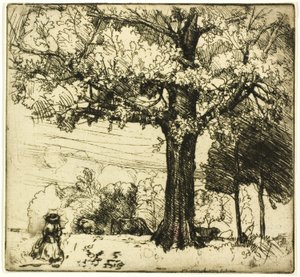 La Grande Quercia da Donald Shaw MacLaughlan