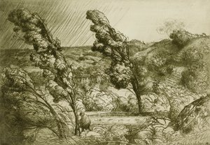 La Tempesta da Donald Shaw MacLaughlan