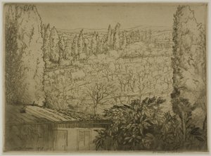 Toscana da Donald Shaw MacLaughlan