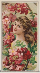Azalea: Attrazione, dalla serie Bellezze floreali e linguaggio dei fiori N75 per Duke..., 1892 da Donaldson Brothers