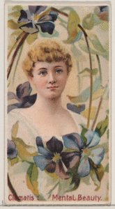 Clematide: Bellezza mentale, dalla serie Bellezze floreali e linguaggio dei fiori N75 per..., 1892
