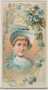 Non ti scordar di me, dalla serie Bellezze floreali e linguaggio dei fiori N75 per il marchio Duke, 1892