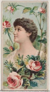 Rosa muschiata: Confessione d
