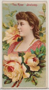 Rosa Tea: Gelosia, dalla serie Bellezze floreali e linguaggio dei fiori N75 per Duke..., 1892