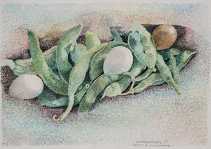 I fagioli di zia Caterina da Donatella Merlo