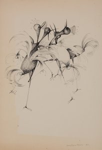 Uccelli da Donatella Merlo