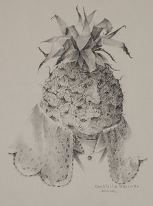 Ananas da Donatella Merlo