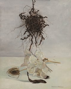 Radice da Donatella Merlo