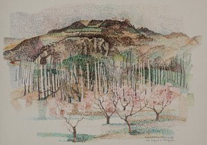 Il vigneto di Vergne da Donatella Merlo