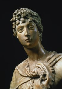 David, dettaglio della testa
