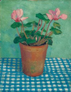 Ciclamino in un Vaso da Dora Carrington