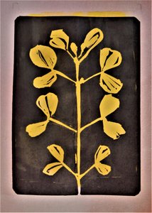 Forma botanica dorata da Doris Schmitz