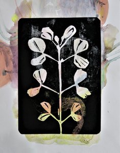 Studio botanico a pastello