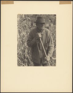 [Uomo con zappa nel campo di sorgo] da Doris Ulmann