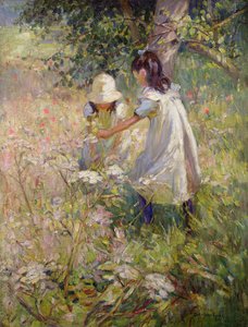  da Dorothea Sharp