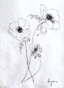 Delicato schizzo di un fiore da Dorothy Fagan