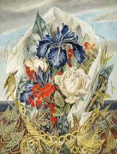 Iris e rosa