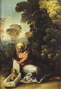 Madonna con Bambino La Zingarella, c. 1513 da Dosso Dossi