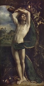 San Sebastiano da Dosso Dossi