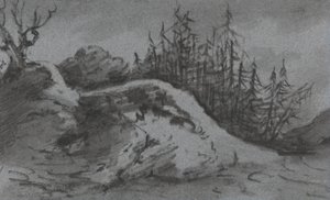 Composizione di rocce e pini